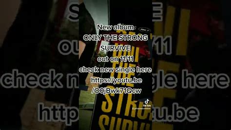 NEW BRUCE SPRINGSTEEN ALBUM ONLY THE STRONG SURVIVE YouTube