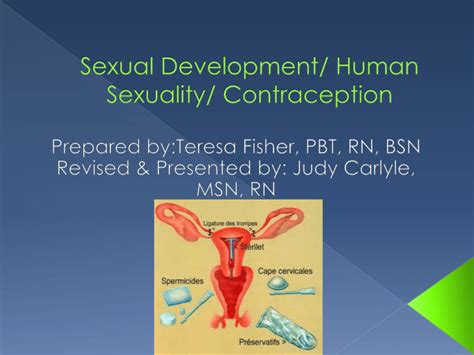 Sexual Development Human Sexuality Contraception