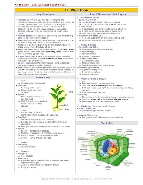 Cells Cheat Sheet