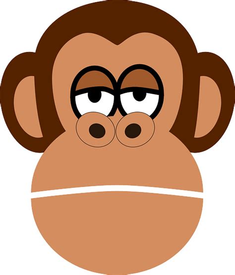 Download Chimpanzee, Ape, Face. Royalty-Free Vector Graphic - Pixabay