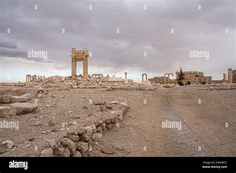 The Ancient City Of Palmyra In Syria Stock Photo Alamy