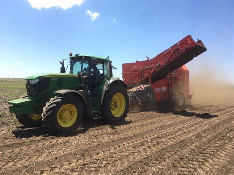 Smart Potato Farming Kenya