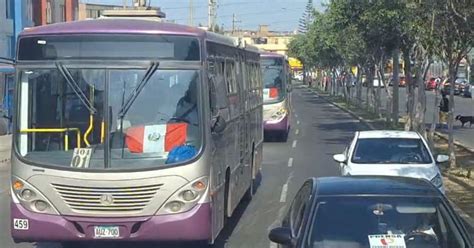 Corredor Morado Caravana De 150 Buses Transitaron Desde Sjl A Cercado