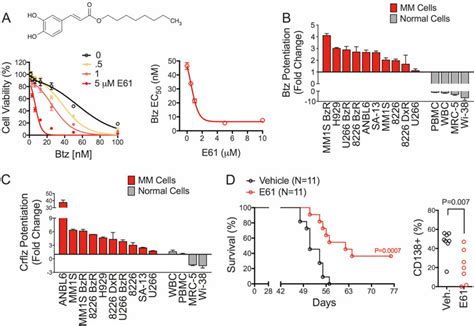 E Sensitizes Mm To Pis And Is Active In Vivo A Mm S Bzr Cells Were