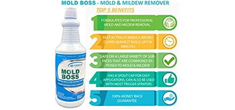 Best Shower Cleaner for Mold and Mildew - Shower Inspire