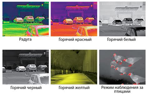 Тепловизионный прицел Hti HT-C8 25mm — купить в Москве в интернет ...