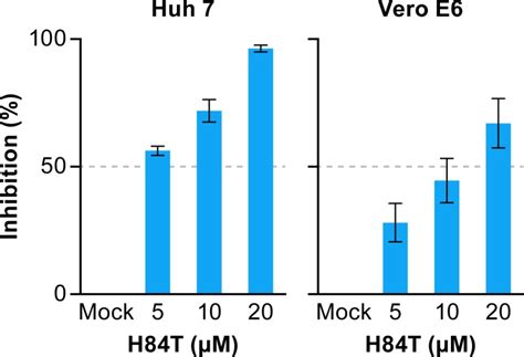 Inhibition Of Ebola Virus By A Molecularly Engineered Banana Lectin