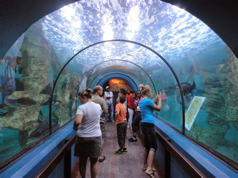 National Marine Aquarium Swakopmundnamibia