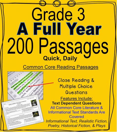 Literacy And Math Ideas Grade 3 A Full Year Of Daily Common Core Reading Practice Common Core