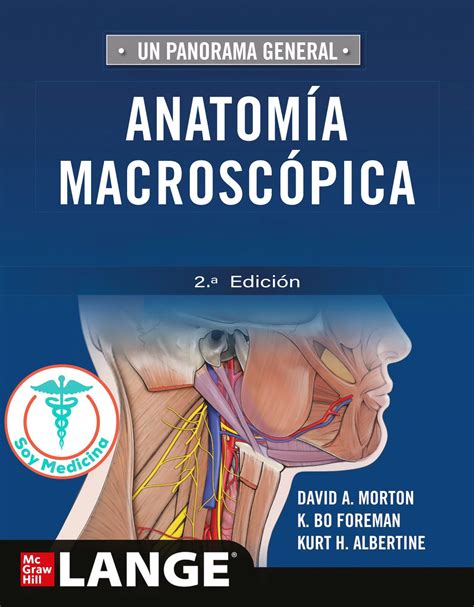 Anatomia Macroscopica Y Anatomia Radiologica The Best Porn Website