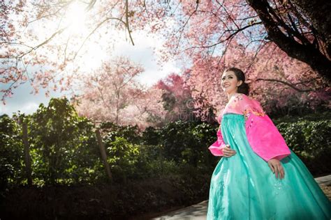 Hanbok Il Vestito Coreano Tradizionale Ed I Bei Wi Asiatici Della