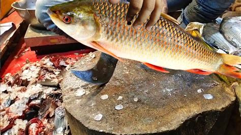 Amazing Cutting Skills L Machli Saaf Karne Ka Tarika L Giant Carp Fish