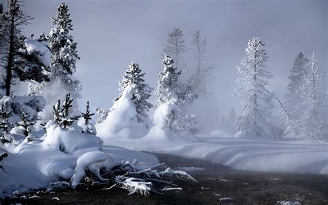 🔥 [40+] Windows Widescreen Winter Wallpapers | WallpaperSafari