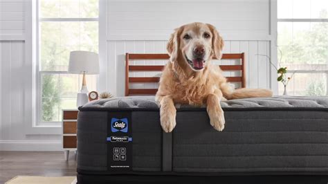 The best Sealy mattress sales and deals | Tom's Guide