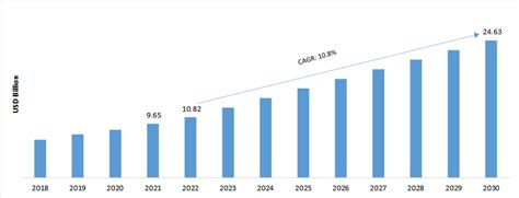 Digital Process Automation Market Size Share And Trends