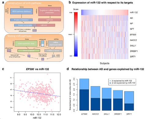 An Integrated Analysis Of Mirna And Their Target Mrna A This Diagram