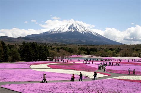 Private Guided Tour To Mount Fuji With Roundtrip Transfer