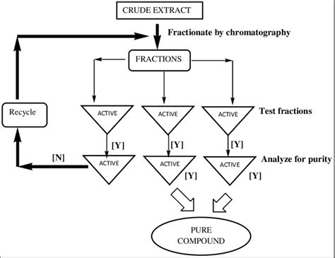 Paradigm For Bioassay Guided Purification Download Scientific Diagram