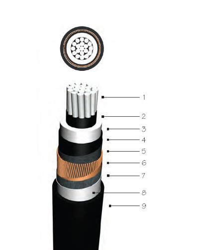 M Volt Xlpe Insulated Radial Longitudinally Sealed Single Core