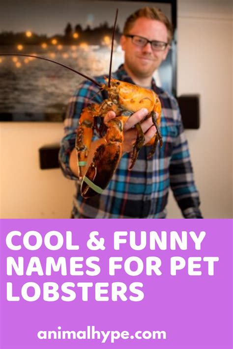 126 Funny Pet Lobster Names Pet Names Pet Names Unique Pet Cows