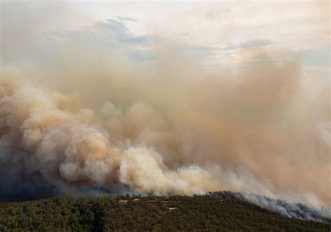 Incendios Forestales Afectan A Más De Una Veintena De Áreas Naturales Protegidas En México