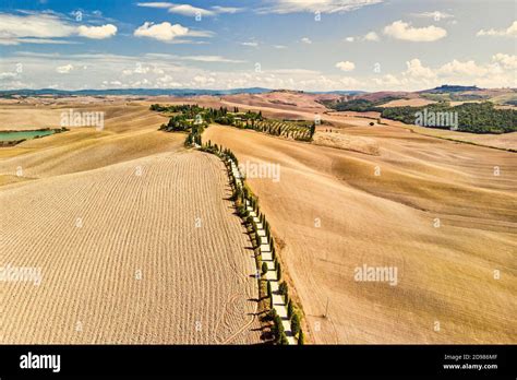 Path Lined With Cypress Trees Hi Res Stock Photography And Images Alamy