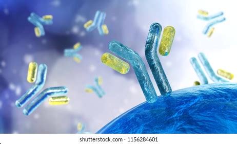14 154 imágenes de Antigenos anticuerpos Imágenes fotos y vectores