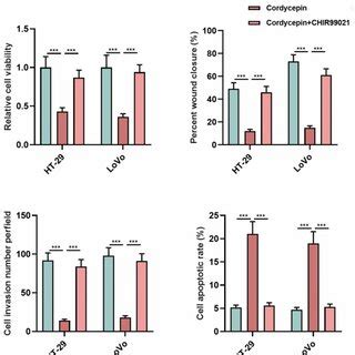 Effects Of Cordycepin And Chir On The Viability Migration And