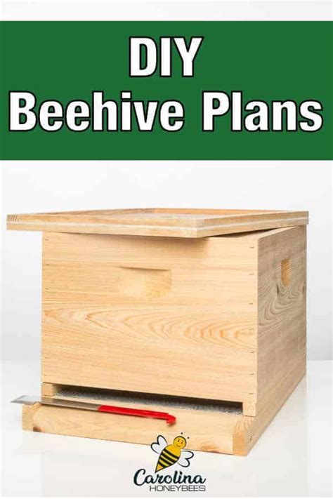 Beehive Plans To Build Your Own Hives Bee Hive Bee Hive Plans Bee