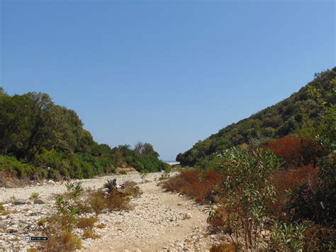 Piana Del Golgo Cala Sisine Baunei Nuoro Sardegna Un Isola Da