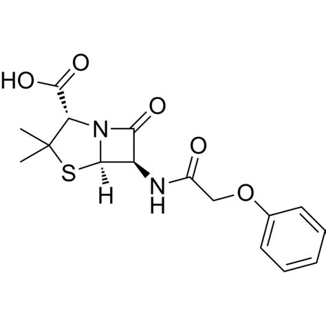 Penicillin V (Phenoxymethylpenicillin) | Antibiotic | MedChemExpress