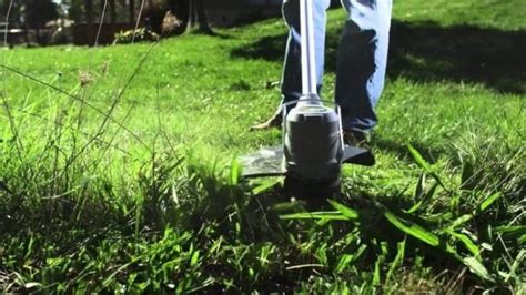 How To Eradicate Weeds - Demotix.com