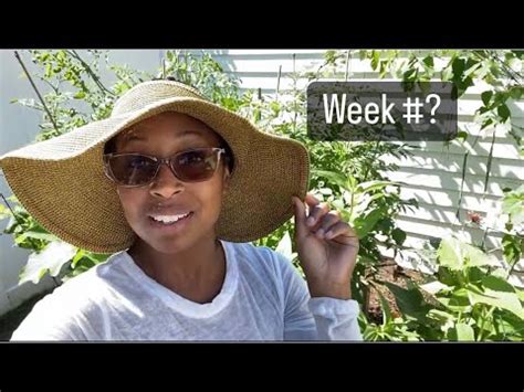 Early August Garden Tour Nyc Backyardgardening Youtube