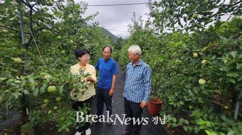 창원특례시 과수 화상병 유입차단 총력