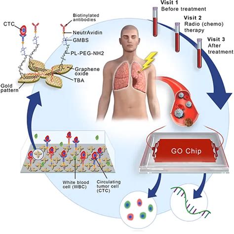 Oncopro Pd L Circulating Tumor Cells Test Near You In Delhi Book