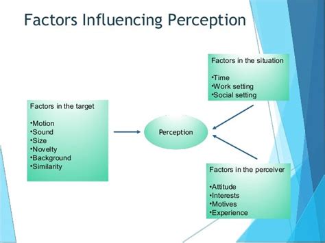 Perceptual Process - Organizational Behaviour