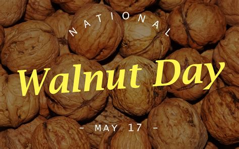 National Walnut Day In United States In Dayspedia