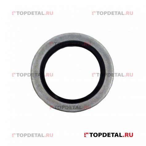 Прокладка пробки масляного поддона 16x24x1.5 RENAULT 110265505R купить ...