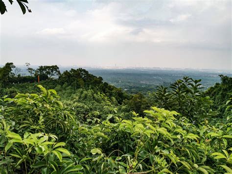 Nature Hainan. Природа Хайнань | China travel, Hainan, Beautiful nature