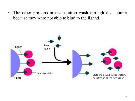 Affinity Chromatography Ppt