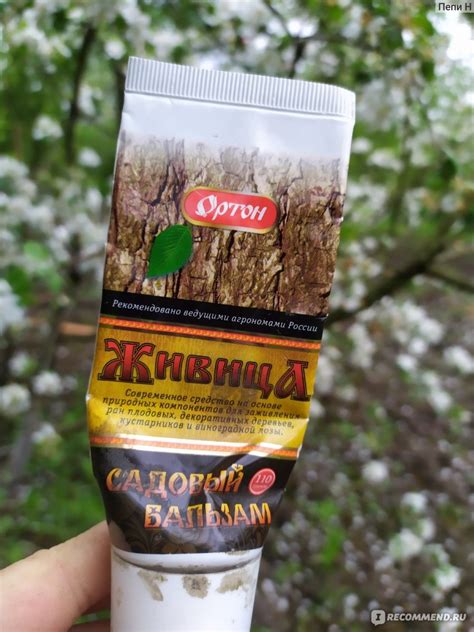 Ортон Садовый вар бальзам для заживления ран "Живица" - «Бальзам для ...
