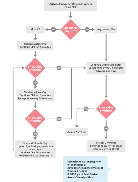 Pals Cardiac Arrest Algorithm Acls Medical Training