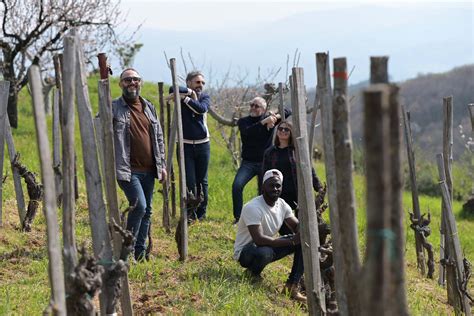 Società Agricola Le Quattro Volte Vino naturale in Calabria