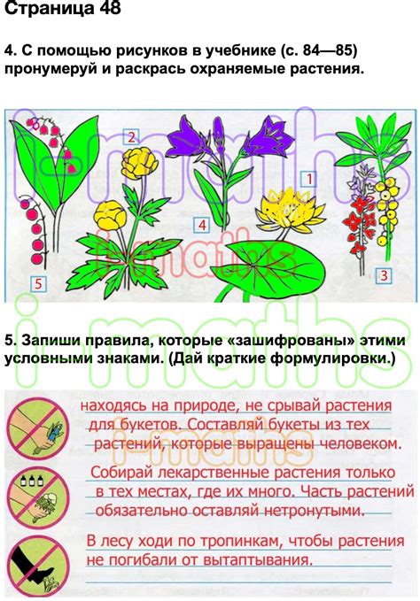 Ответ ГДЗ Страница 48 рабочая тетрадь окружающий мир Плешаков 3 класс 1 ...