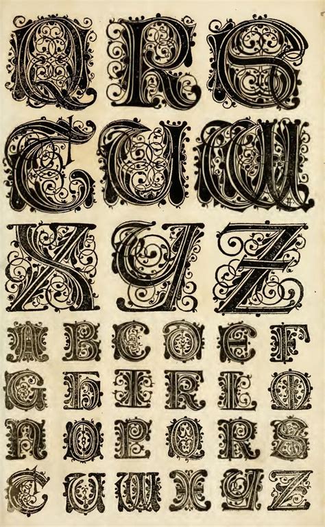 Ornate Lettering Illustratedmonthly Alphabet Art Calligraphy