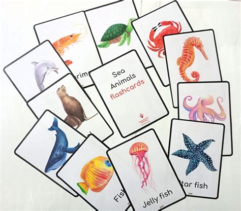 Ocean Animals Flashcards Set Educational Sea Creature - Etsy