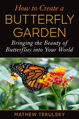 How To Create A Butterfly Garden Bringing The Beauty Of Butterflies