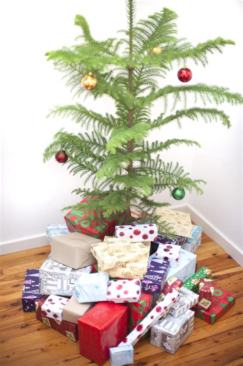 presents under the christmas tree 6