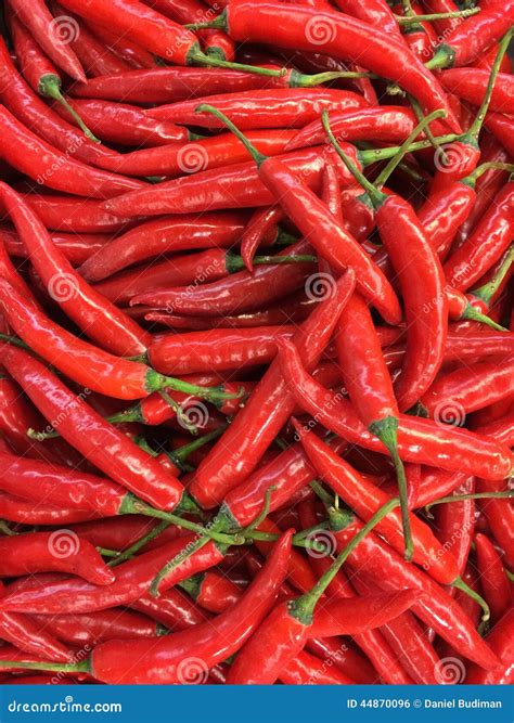 Red Hot Chill Peppers Stock Photo Image Of Vegetable 44870096