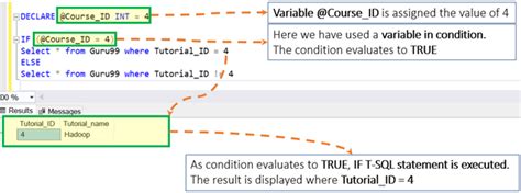 Sql Server If Else Anweisung T Sql Beispiel Soci T Historique Hot Sex